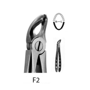 5431-ATRAUMATIC FORCEPS - Lower Universal-F2
