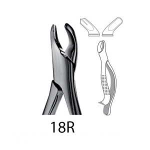 5451-EXTRACTION FORCEPS  - 18R