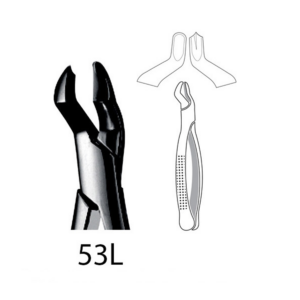 5452-EXTRACTION FORCEPS  - 153L