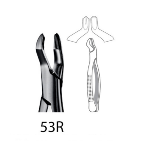 5453-EXTRACTION FORCEPS  - 153R