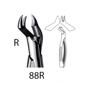 5455-EXTRACTION FORCEPS  - 88R