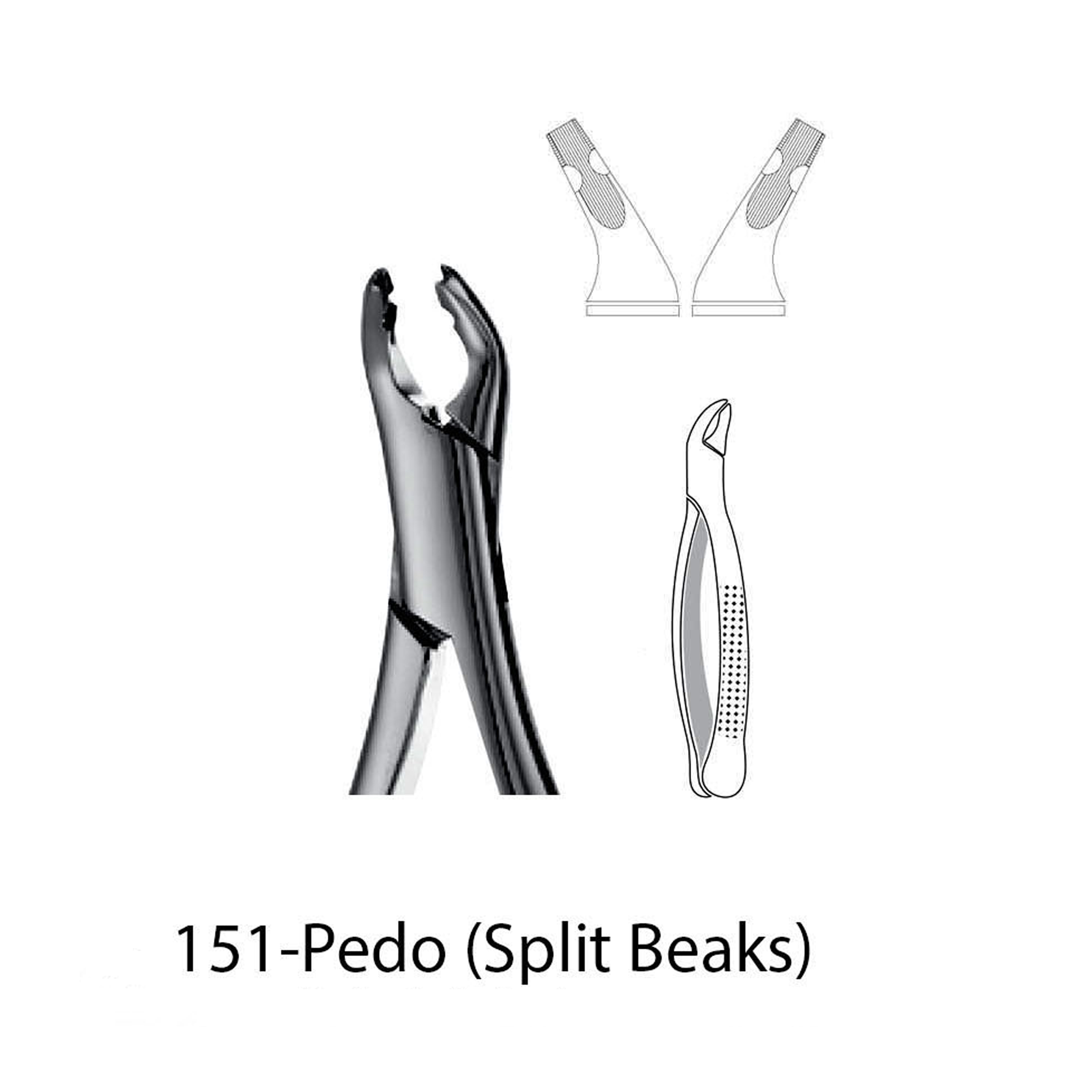 5484-EXTRACTION FORCEPS – 151 – NOVADENT USA